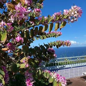 https://sofia-santa-ursula-tenerife.in-canary-islands.com
